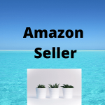 Amazon vendedor Seller